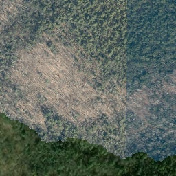 Satellite imagery of Black Mountain Point, US