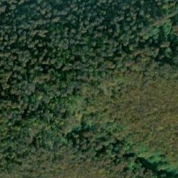 Satellite imagery of Košutica, RS