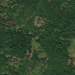 Satellite imagery of Gorunjčje, RS