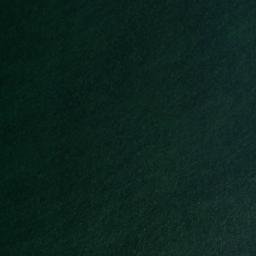 Satellite imagery of French Point, US