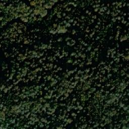 Satellite imagery of Košutica, RS