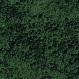 Satellite imagery of Vrletnica, RS