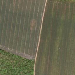 Satellite imagery of Sovata, BG