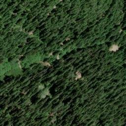 Satellite imagery of Champion Mine, US