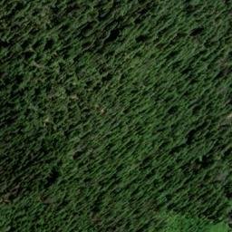 Satellite imagery of Champion Mine, US