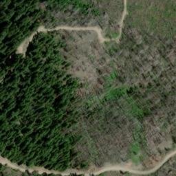 Satellite imagery of Champion Mine, US