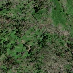 Satellite imagery of Jackass Ridge, US