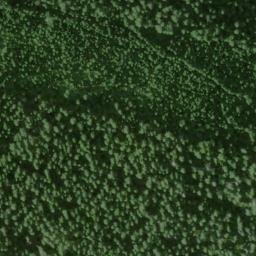 Satellite imagery of Mayflower Mine, US