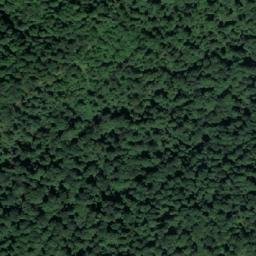 Satellite imagery of Badnjevačka Kosa, RS