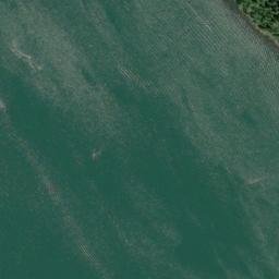 Satellite imagery of Chinquapin Point, US