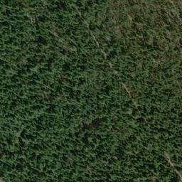 Satellite imagery of Chinquapin Point, US