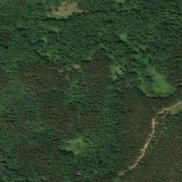 Satellite imagery of Ržište, RS