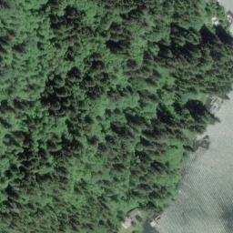 Satellite imagery of Willow Point, US