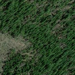 Satellite imagery of Colorado Mine, US