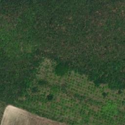 Satellite imagery of Sanadinovski Vrah, BG