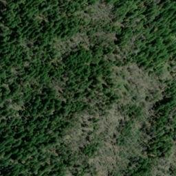 Satellite imagery of Colorado Mine, US