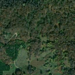 Satellite imagery of Gusarica, RS