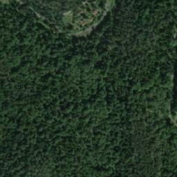 Satellite imagery of Borovita Kosa, RS