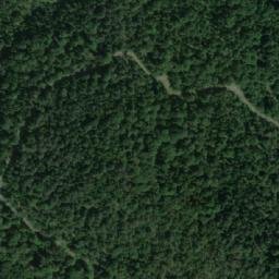 Satellite imagery of Borovita Kosa, RS