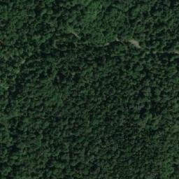 Satellite imagery of Borovita Kosa, RS