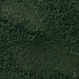 Satellite imagery of Borovita Kosa, RS