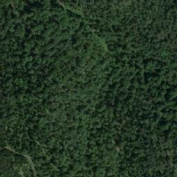 Satellite imagery of Borovita Kosa, RS