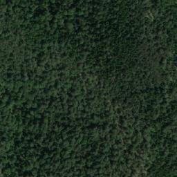 Satellite imagery of Borovita Kosa, RS