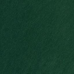 Satellite imagery of Watch Point, US