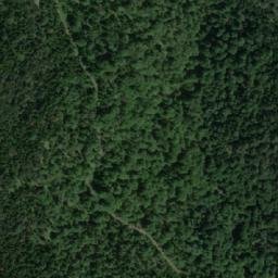 Satellite imagery of Borovita Kosa, RS