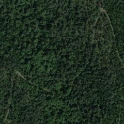 Satellite imagery of Borovita Kosa, RS