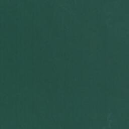 Satellite imagery of Gotts Point, US