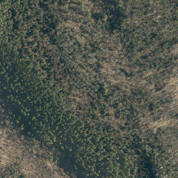 Satellite imagery of Pine Ridge, US