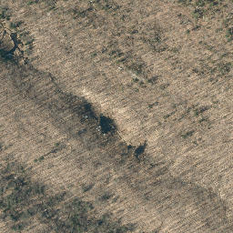 Satellite imagery of Pine Ridge, US