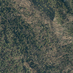 Satellite imagery of Pine Ridge, US