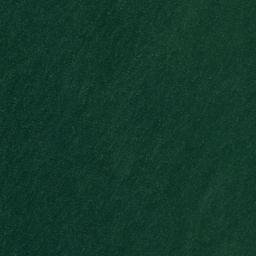 Satellite imagery of Watch Point, US