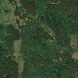 Satellite imagery of Mali Drvnik, RS