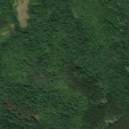 Satellite imagery of Drvnički Del, RS