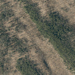 Satellite imagery of Pine Ridge, US