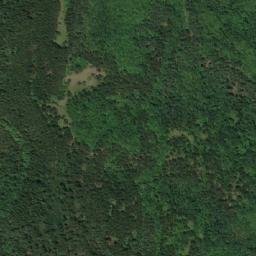 Satellite imagery of Mali Drvnik, RS