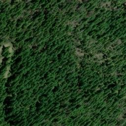 Satellite imagery of Monte Rico Ridge, US
