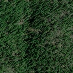 Satellite imagery of Monte Rico Ridge, US