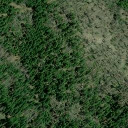Satellite imagery of Monte Rico Ridge, US