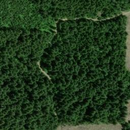 Satellite imagery of Kellys Bluff, US