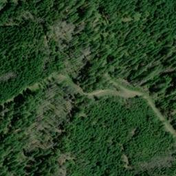 Satellite imagery of Monte Rico Ridge, US
