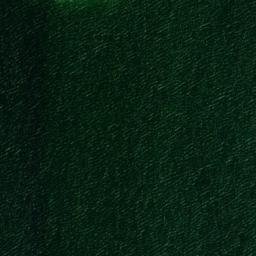 Satellite imagery of Cotton Point, US