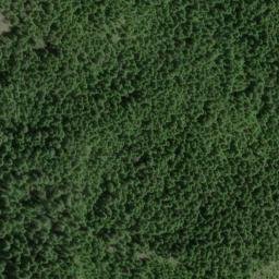 Satellite imagery of Calapooya Divide, US