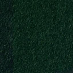 Satellite imagery of Cotton Point, US