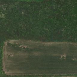 Satellite imagery of Tankova Mogila, BG