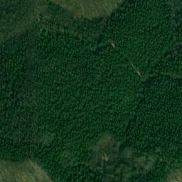 Satellite imagery of Žutice, BA