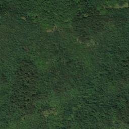 Satellite imagery of Bučje, RS